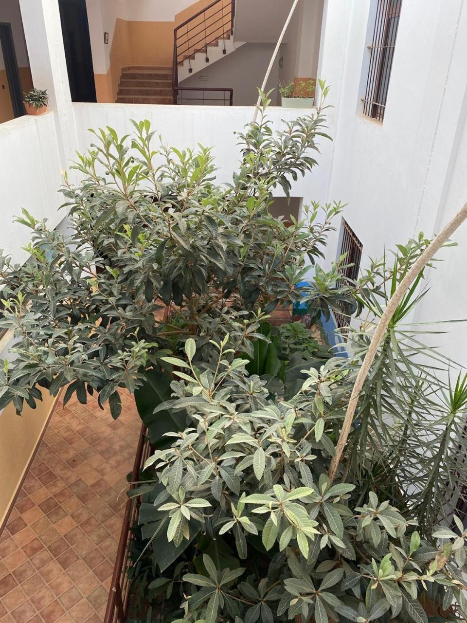 Chez Ijlal Apartment Agadir n'Ait Sa Luaran gambar